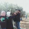 Palestine Polytechnic University (PPU) -  يٌشارك البوليتكنك في فعاليات "باقون كشجر الزيتون" قطف الزيتون